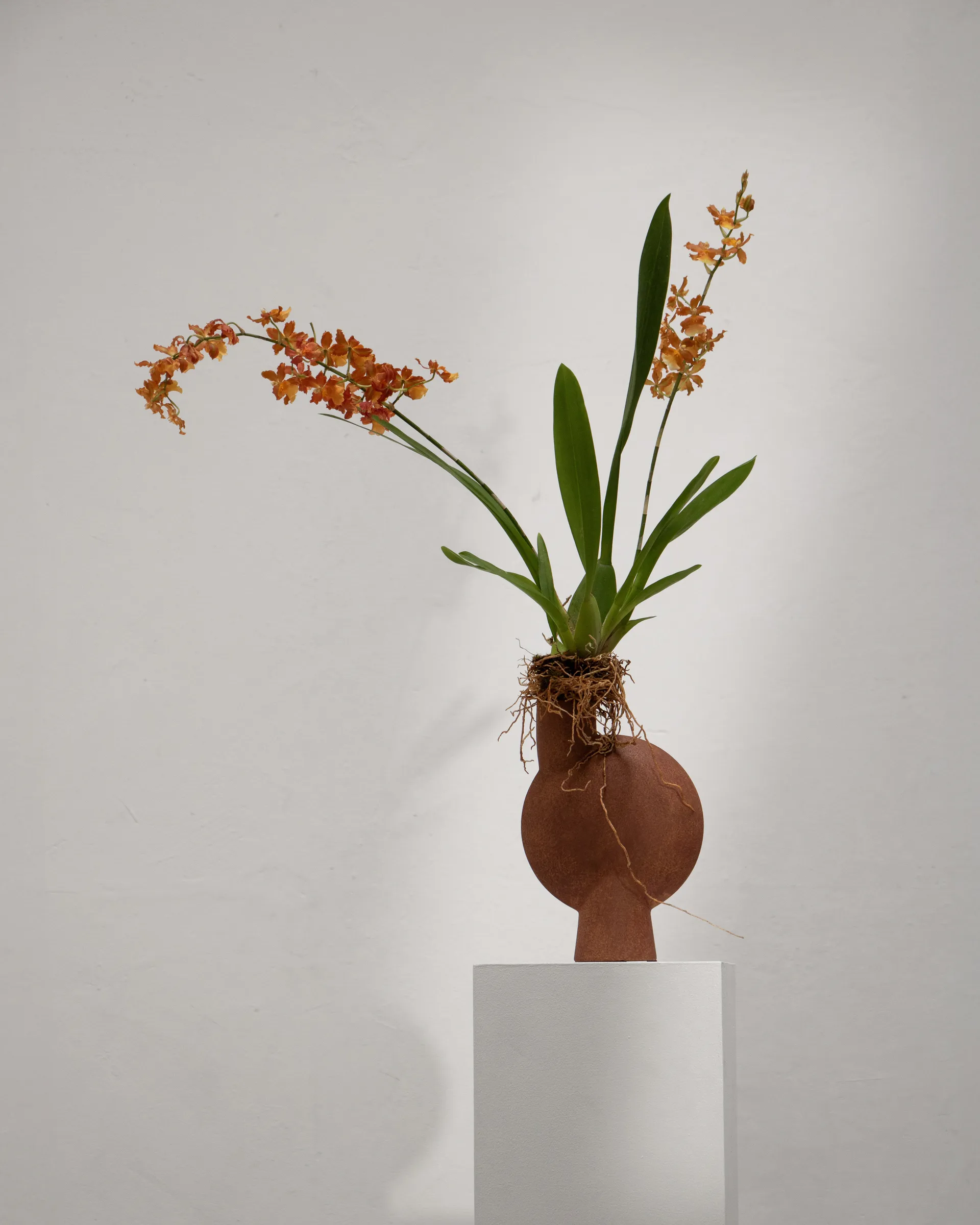 Sphere Bubl maljakko Midi, Terrakotta 101 Copenhagen