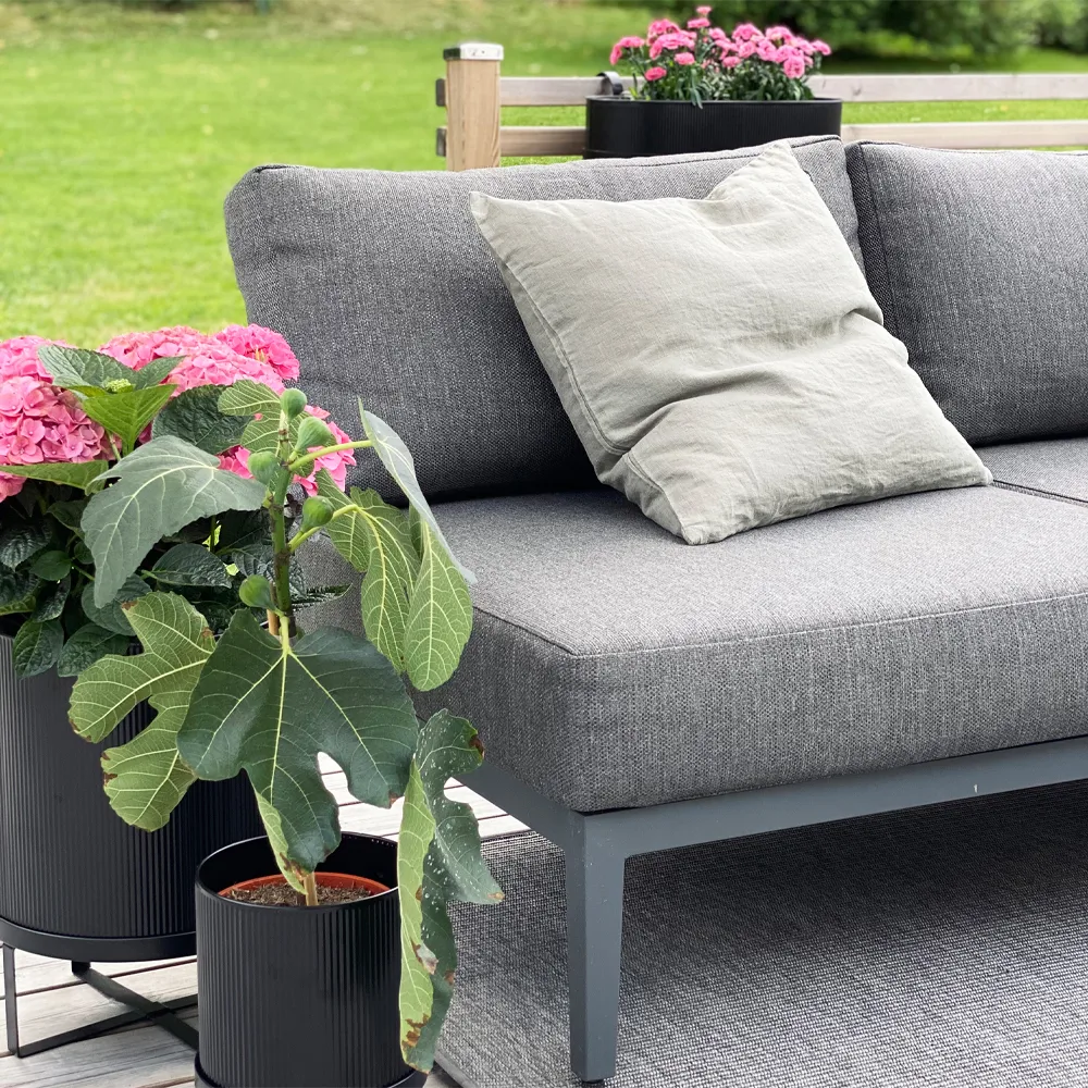 Santander jalkarahi, Harmaa 1898