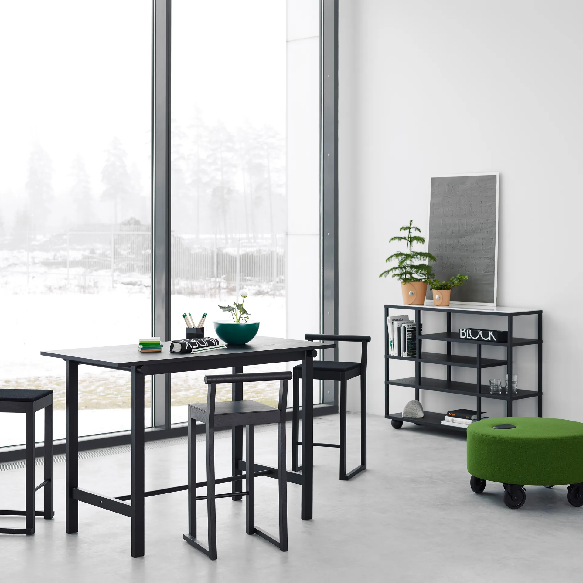 Show hylly, Mustaksi petsattu tammi A2