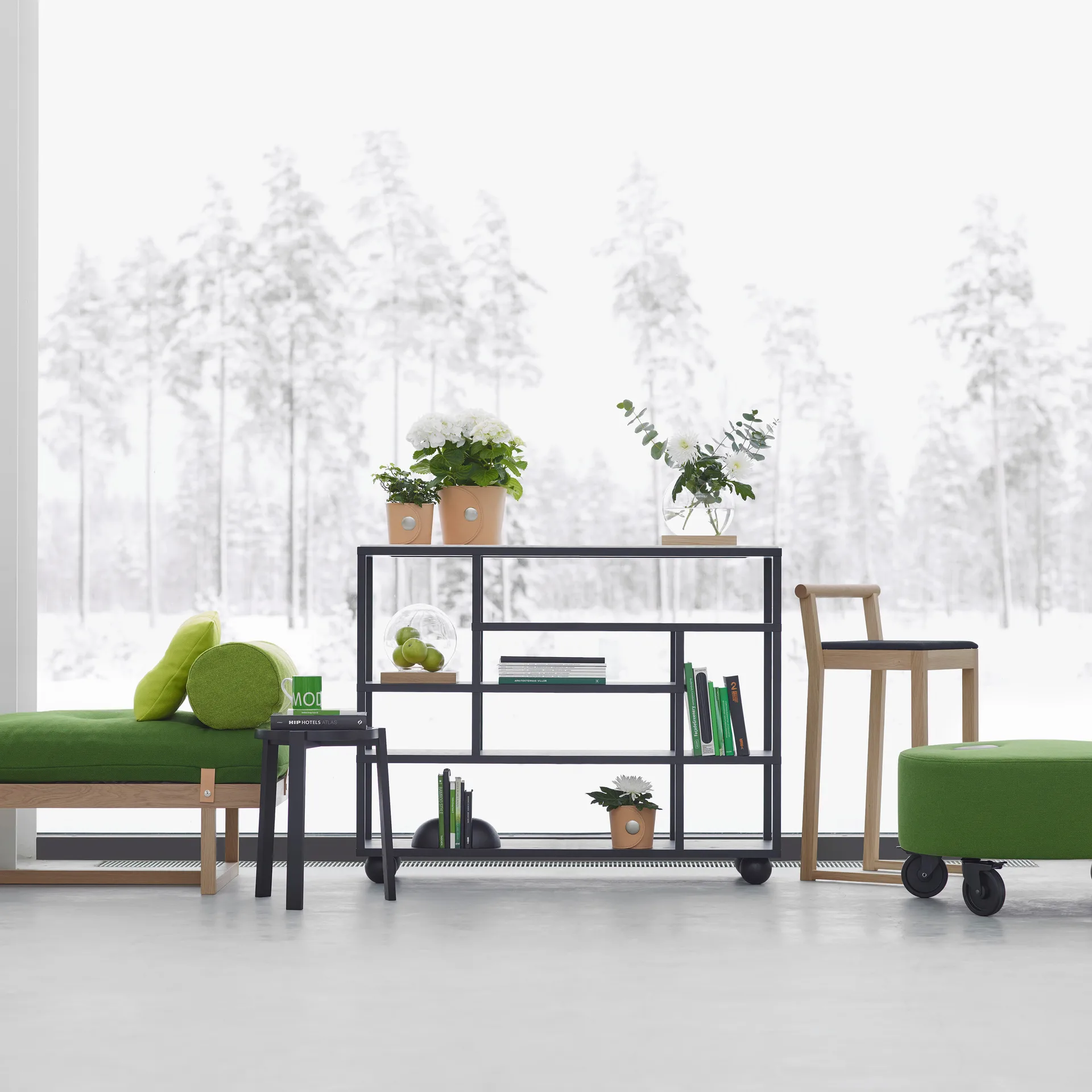 Show hylly, Mustaksi petsattu tammi A2