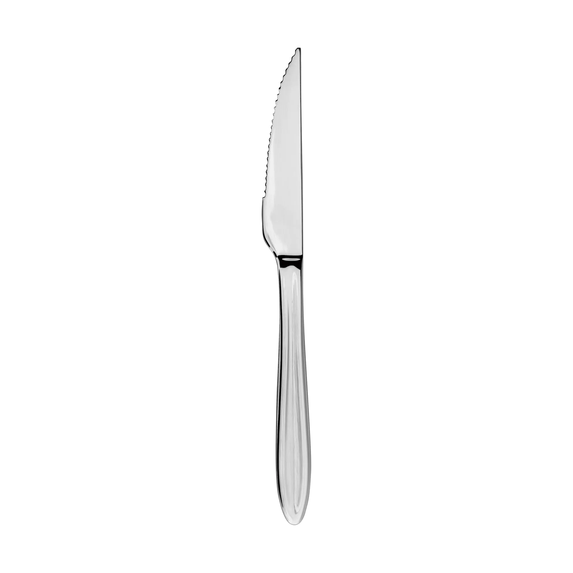 Gastro-pihviveitsi, Ruostumaton teräs Aida