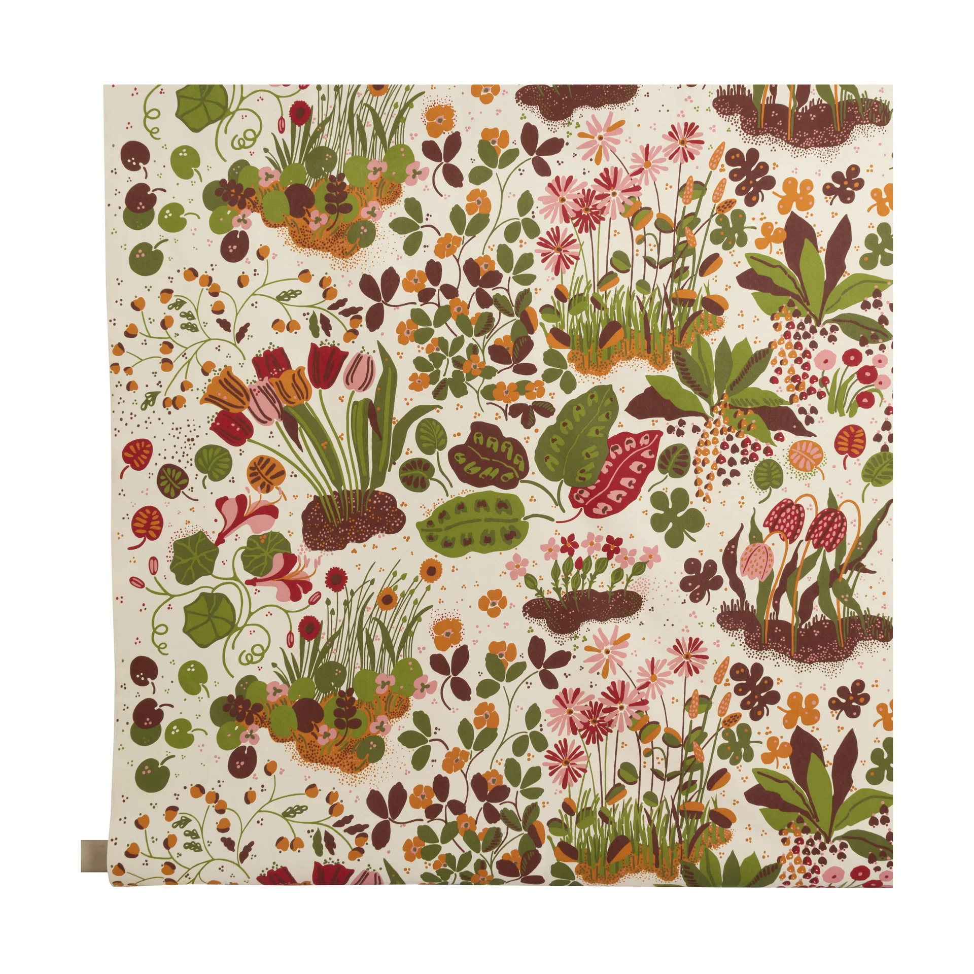 Ailanthus kangas, Monivärinen Almedahls