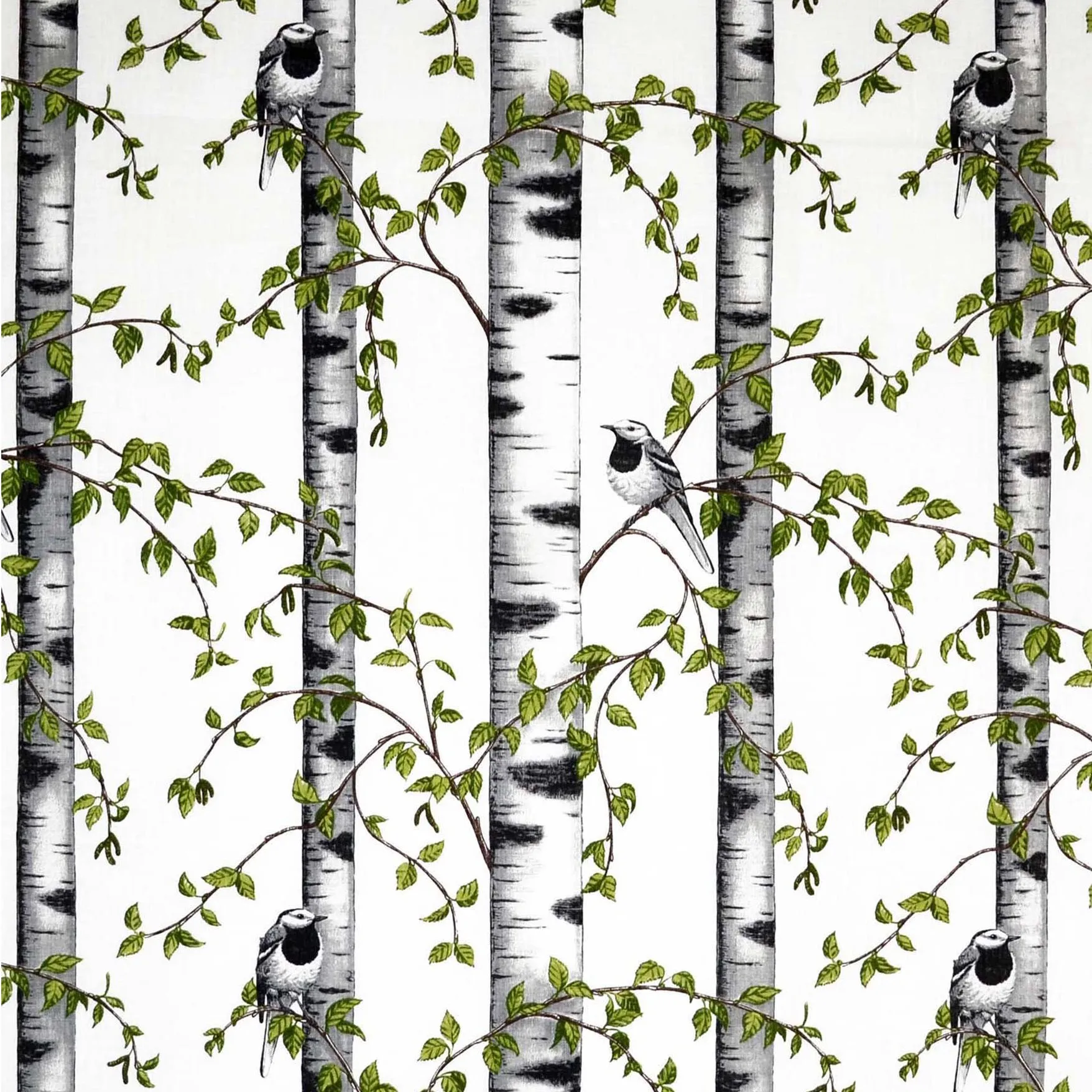 Björkdungen kangas, valkoinen Arvidssons Textil