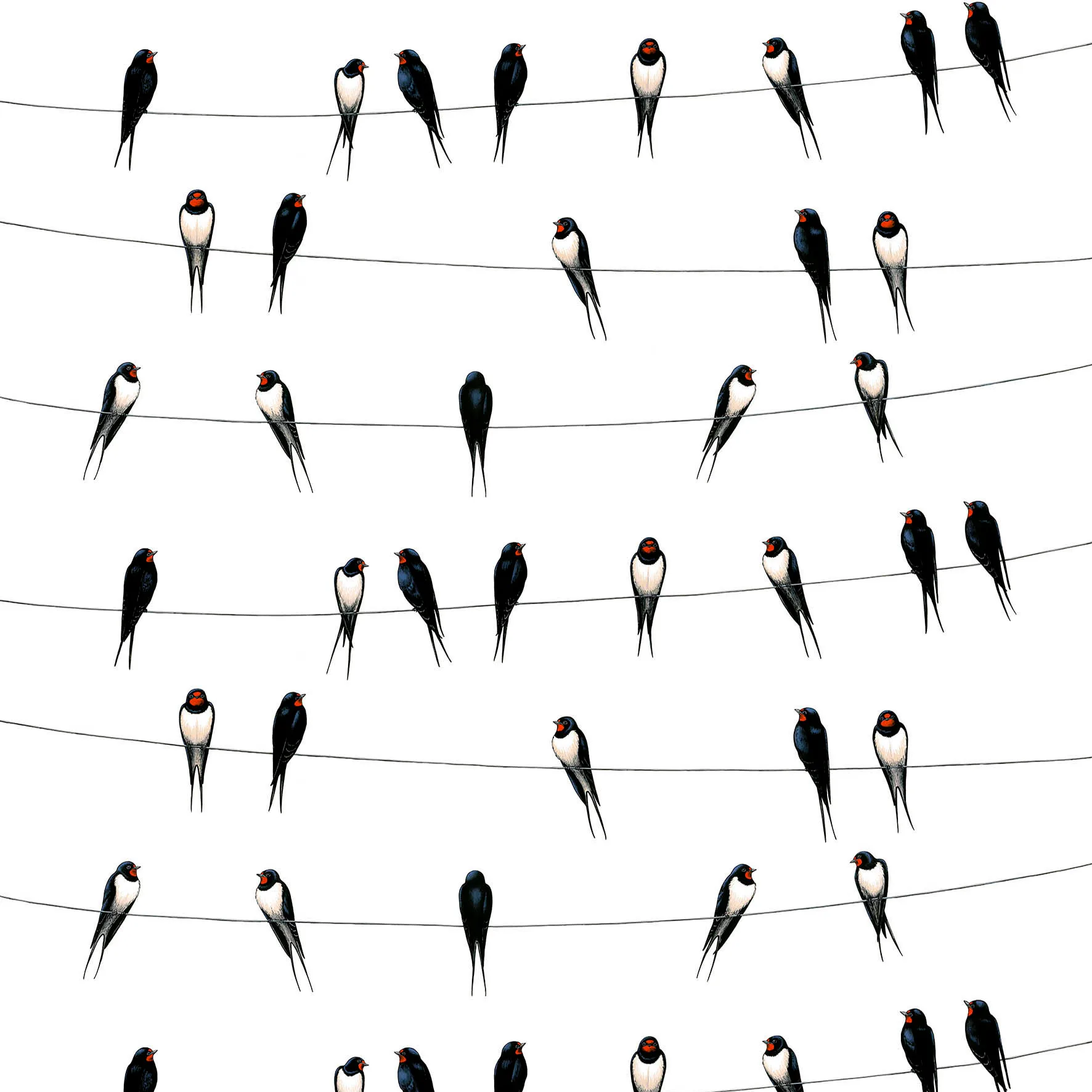 Ladusvalor kangas, valkoinen Arvidssons Textil