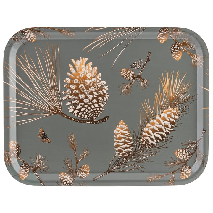 Pine Cone -tarjotin 28x36 cm - Moss grey - Åry Home