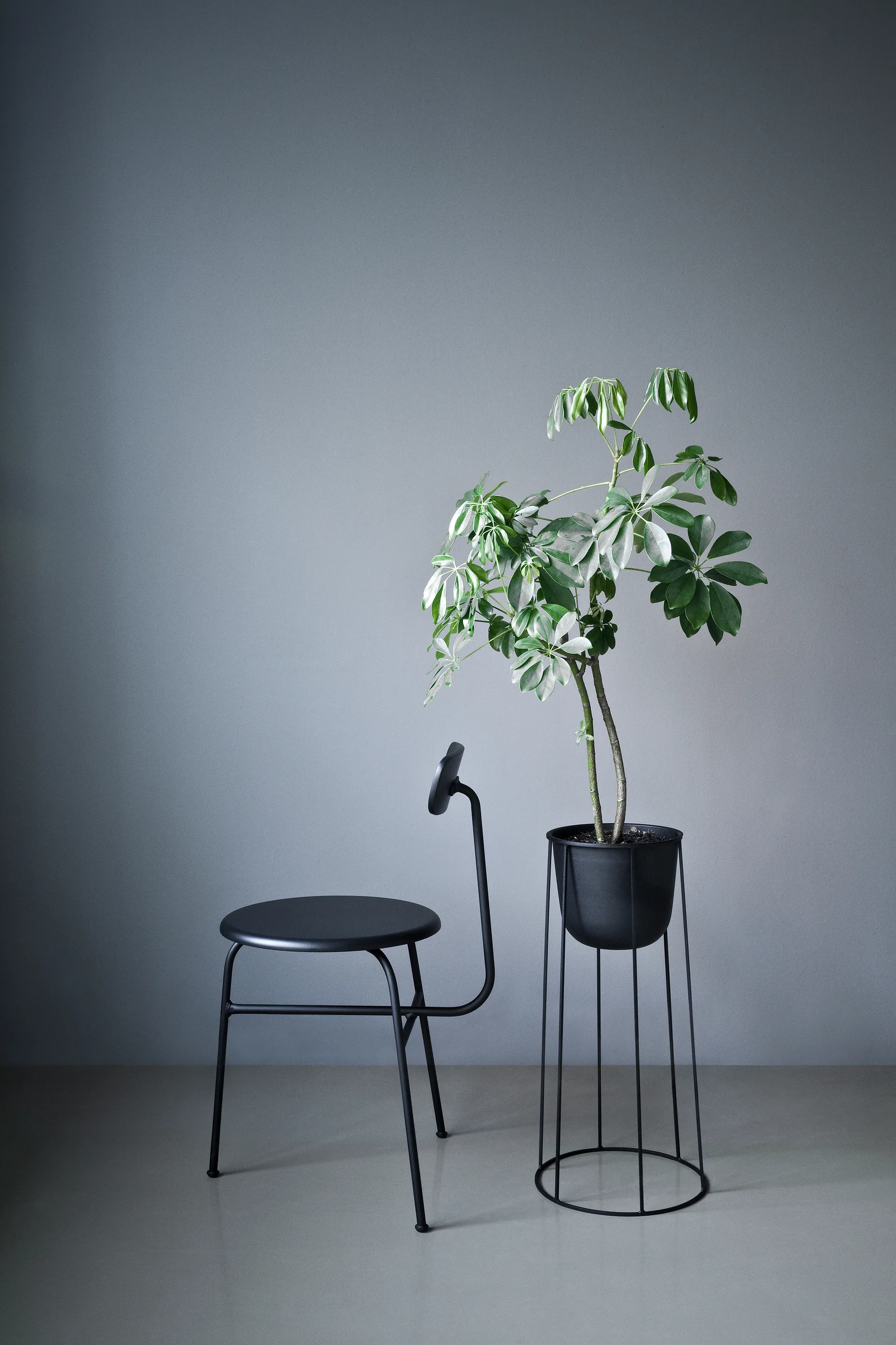 Afteroom tuoli nahkaistuin 4 jalkaa, musta-musta Audo Copenhagen