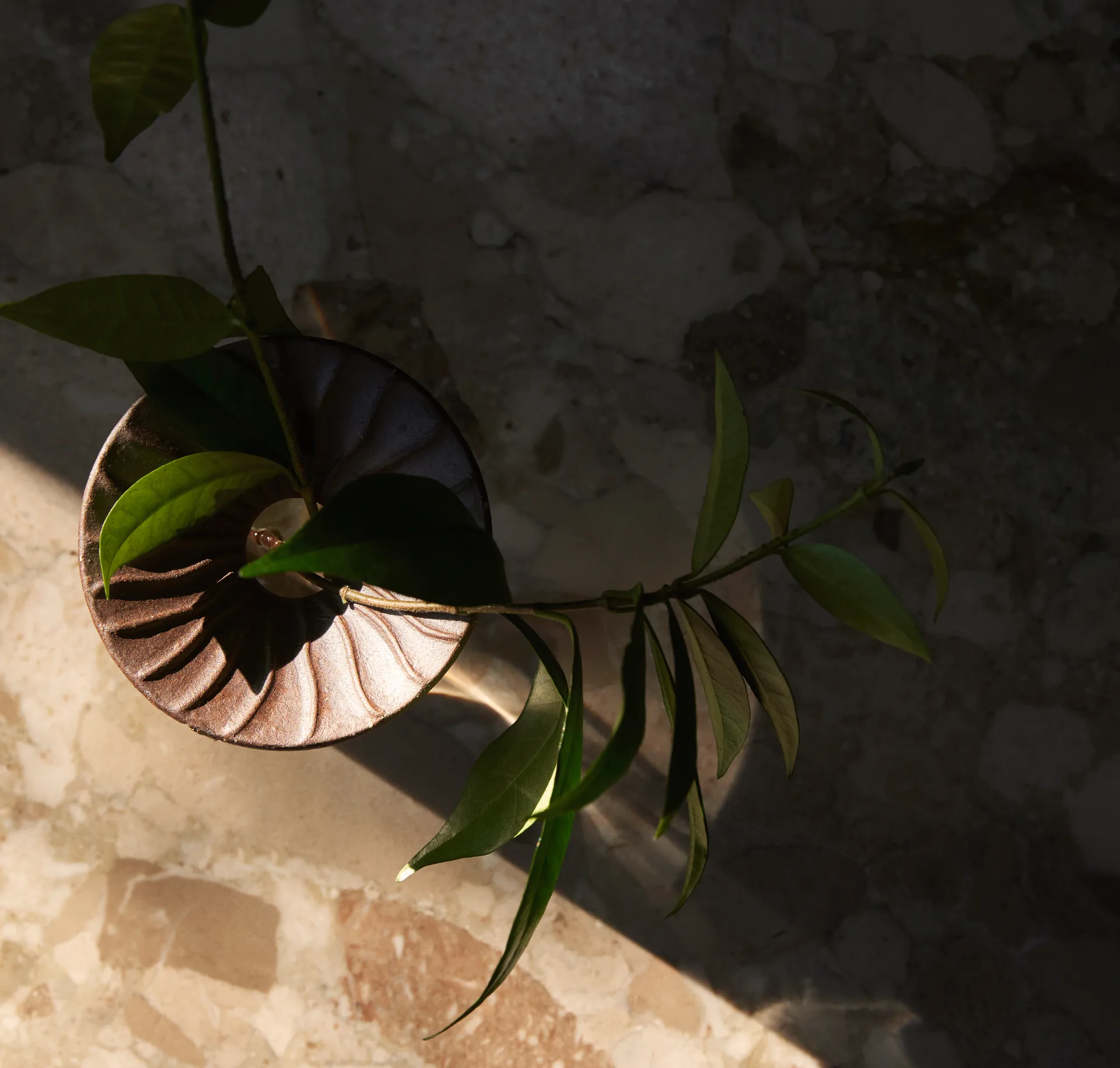 Cresco Propagation -maljakko 2 osaa, Ruskea-kirkas Audo Copenhagen