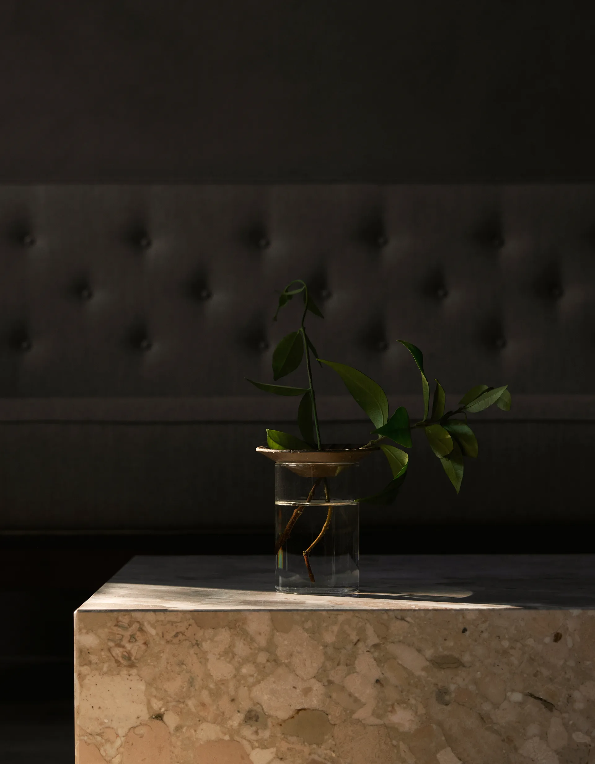 Cresco Propagation -maljakko 2 osaa, Ruskea-kirkas Audo Copenhagen