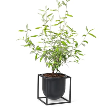 Kubus kukkaruukku 14 cm - Musta - Audo Copenhagen