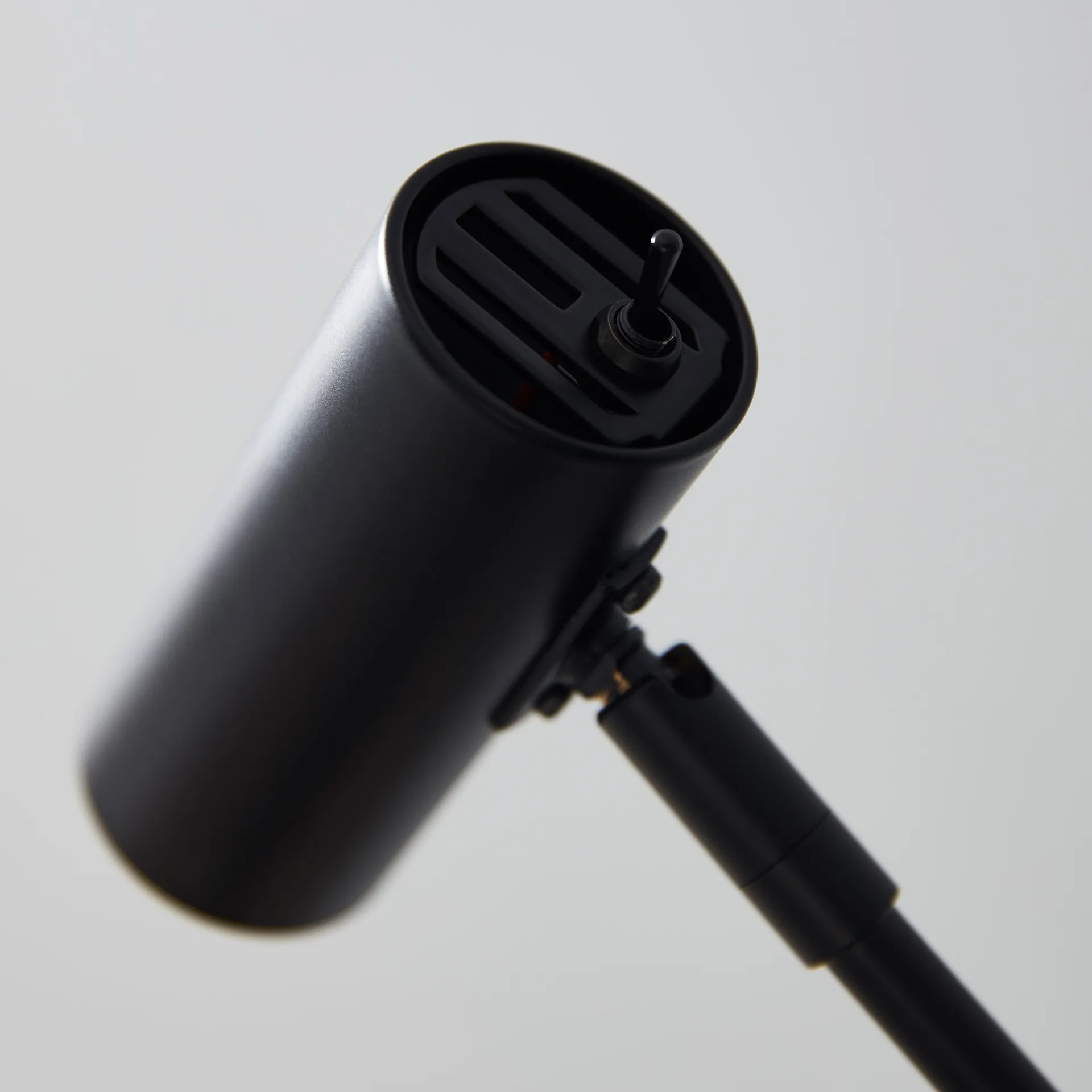 Cato lattiavalaisin, Musta Belid