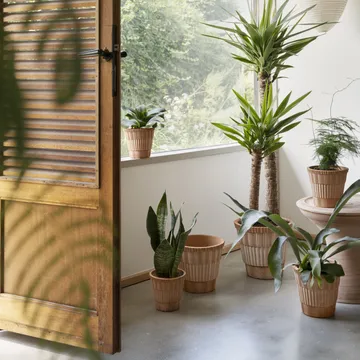 Atlas raw ruukku aluslautasella - Rosa, Ø18 cm - Bergs Potter