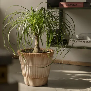 Atlas raw ruukku aluslautasella - Rosa, Ø25 cm - Bergs Potter