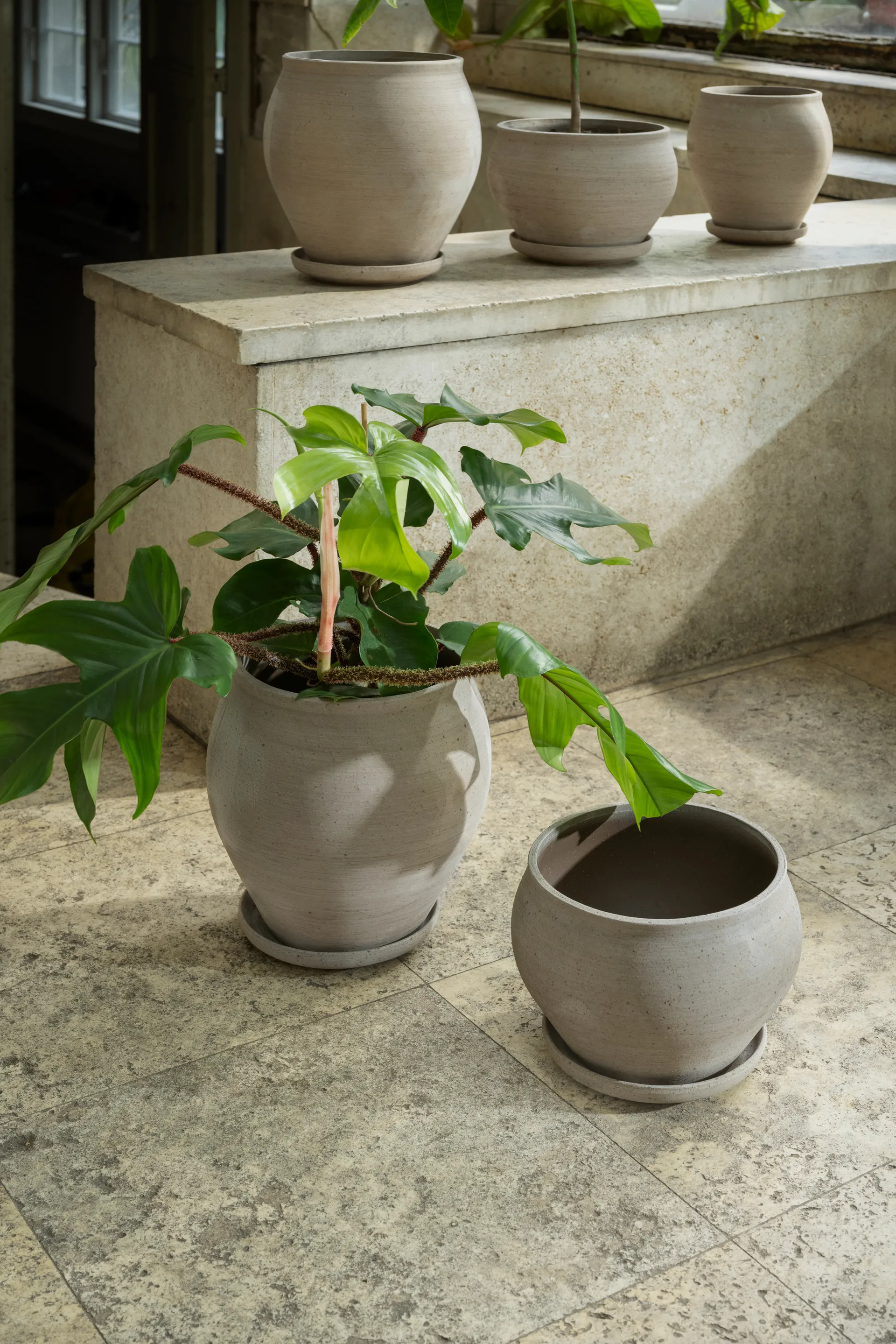 Delphi ruukku aluslautasella 2 osaa, Grey, Ø22 cm, korkea Bergs Potter