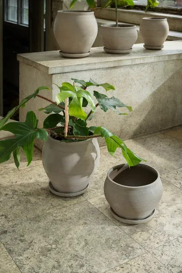 Delphi ruukku aluslautasella 2 osaa - Grey, Ø22 cm, korkea - Bergs Potter