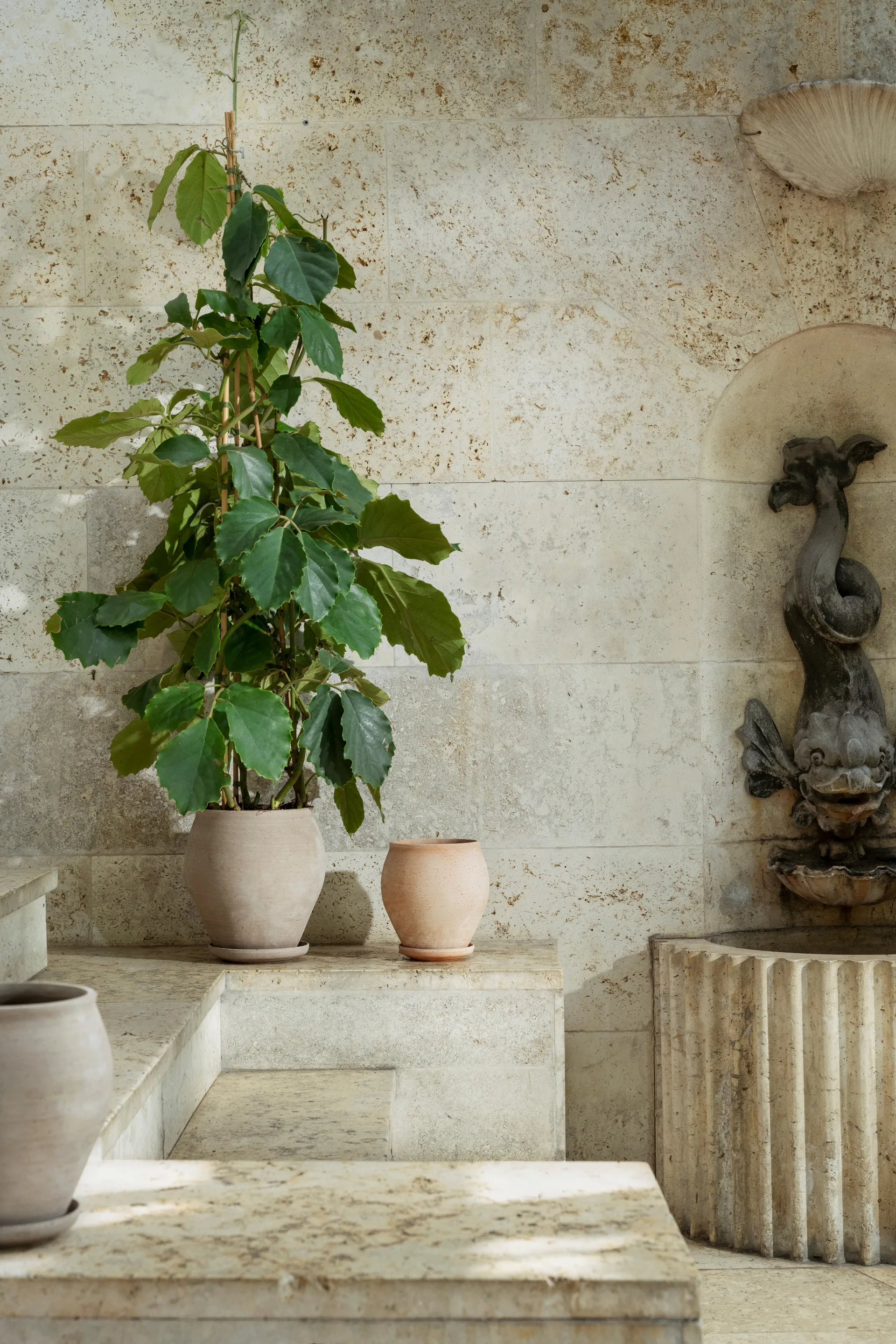 Delphi ruukku aluslautasella 2 osaa, Grey, Ø22 cm, korkea Bergs Potter