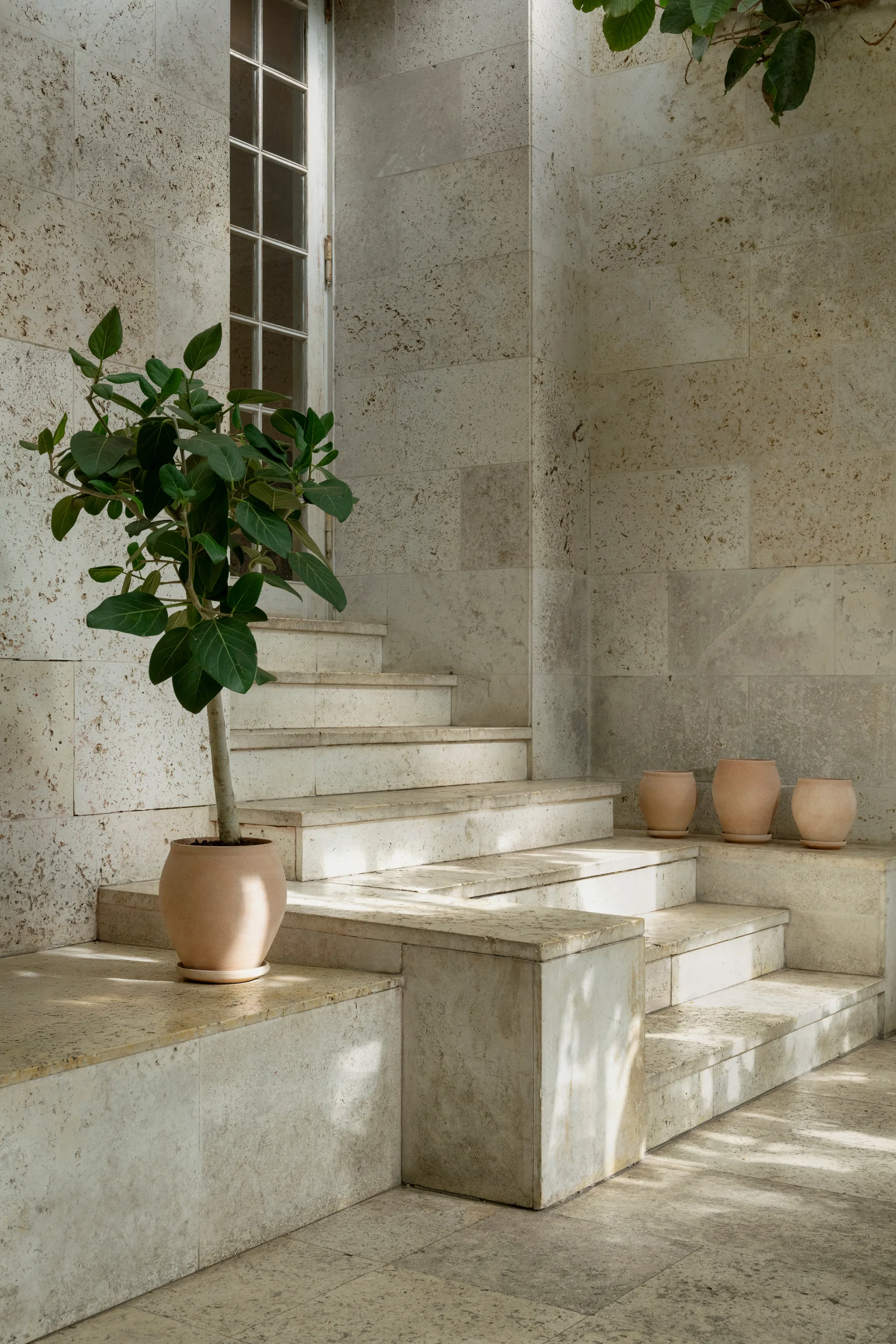 Delphi ruukku aluslautasella 2 osaa, Rosa, Ø26 cm Bergs Potter