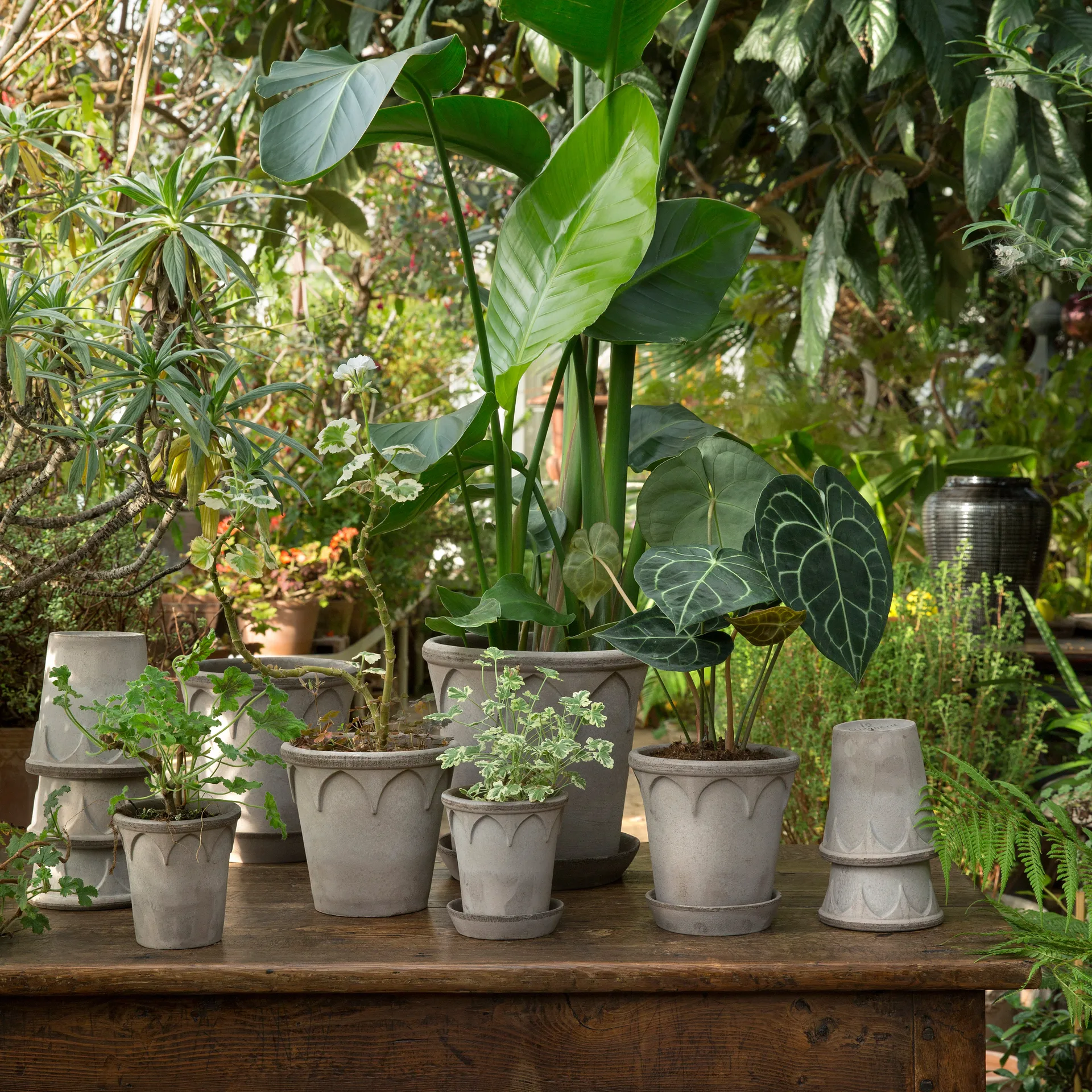 Elizabeth ruukku Ø 14 cm, Grey Bergs Potter