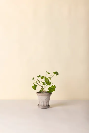 Fleur ruukku aluslautasella 2 osaa - Grey, Ø16 cm - Bergs Potter