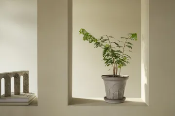 Fleur ruukku aluslautasella 2 osaa - Grey, Ø21 cm - Bergs Potter