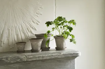 Fleur ruukku aluslautasella 2 osaa - Grey, Ø21 cm - Bergs Potter