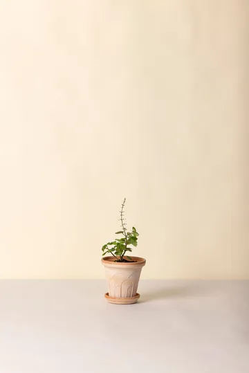 Fleur ruukku aluslautasella 2 osaa - Rosa, Ø14 cm - Bergs Potter