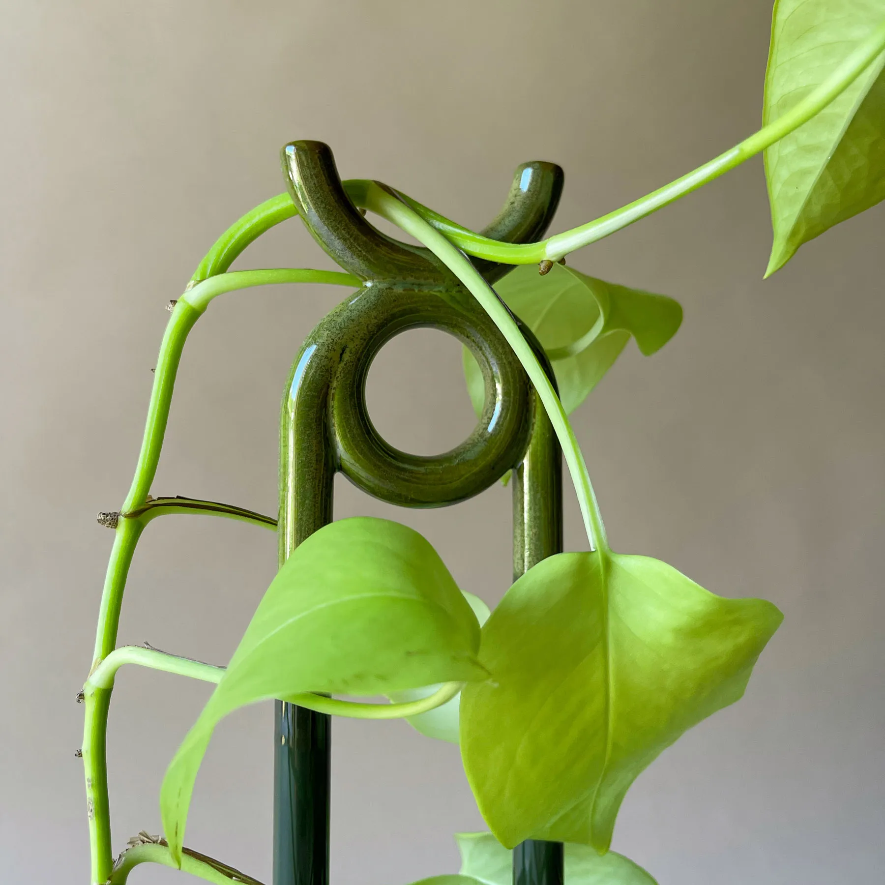 Folk Oni kasvituki, Moss green Bergs Potter