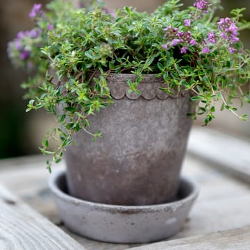 Helena ruukku Ø10 cm - Harmaa - Bergs Potter