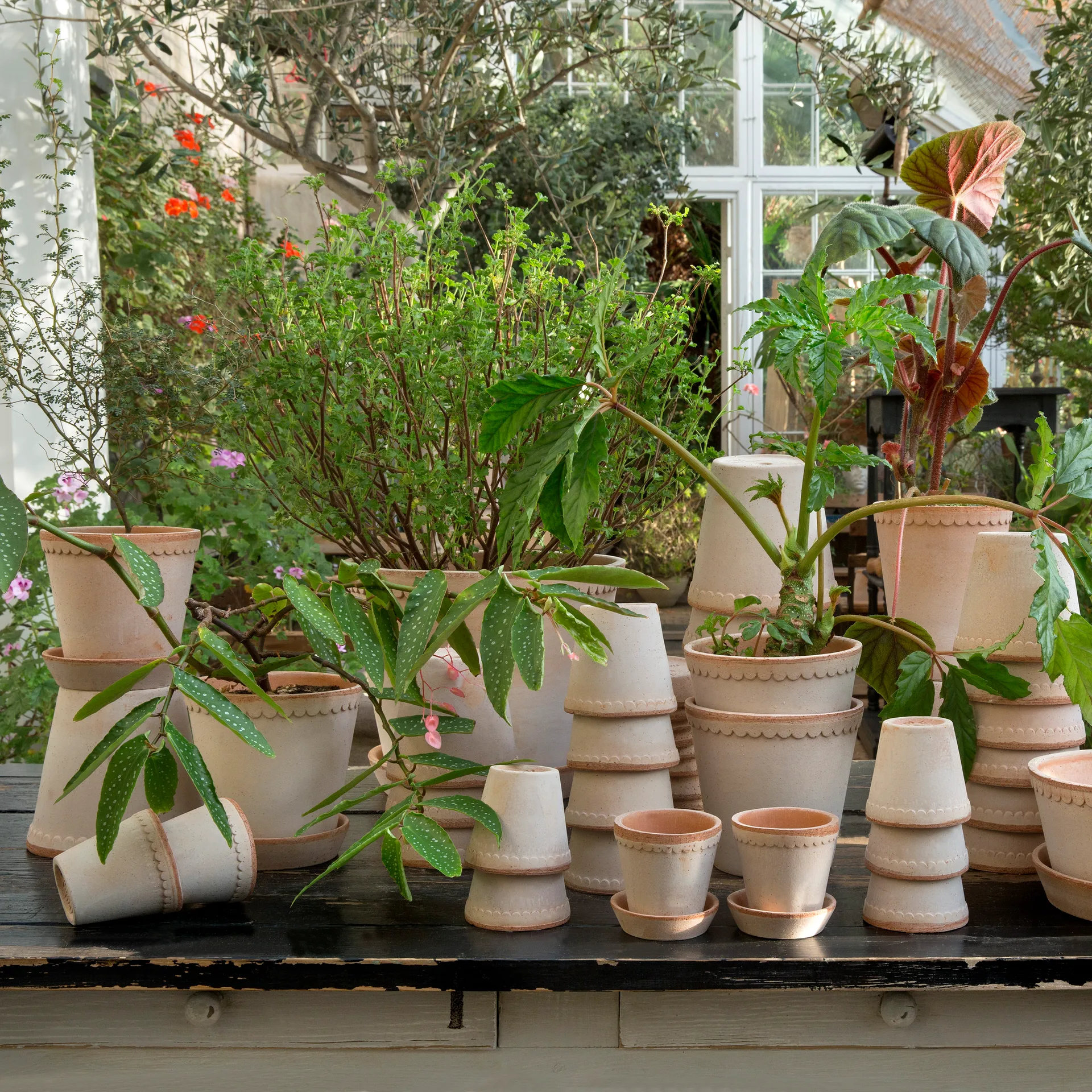 Helena ruukku Ø14 cm, Vaaleanpunainen Bergs Potter