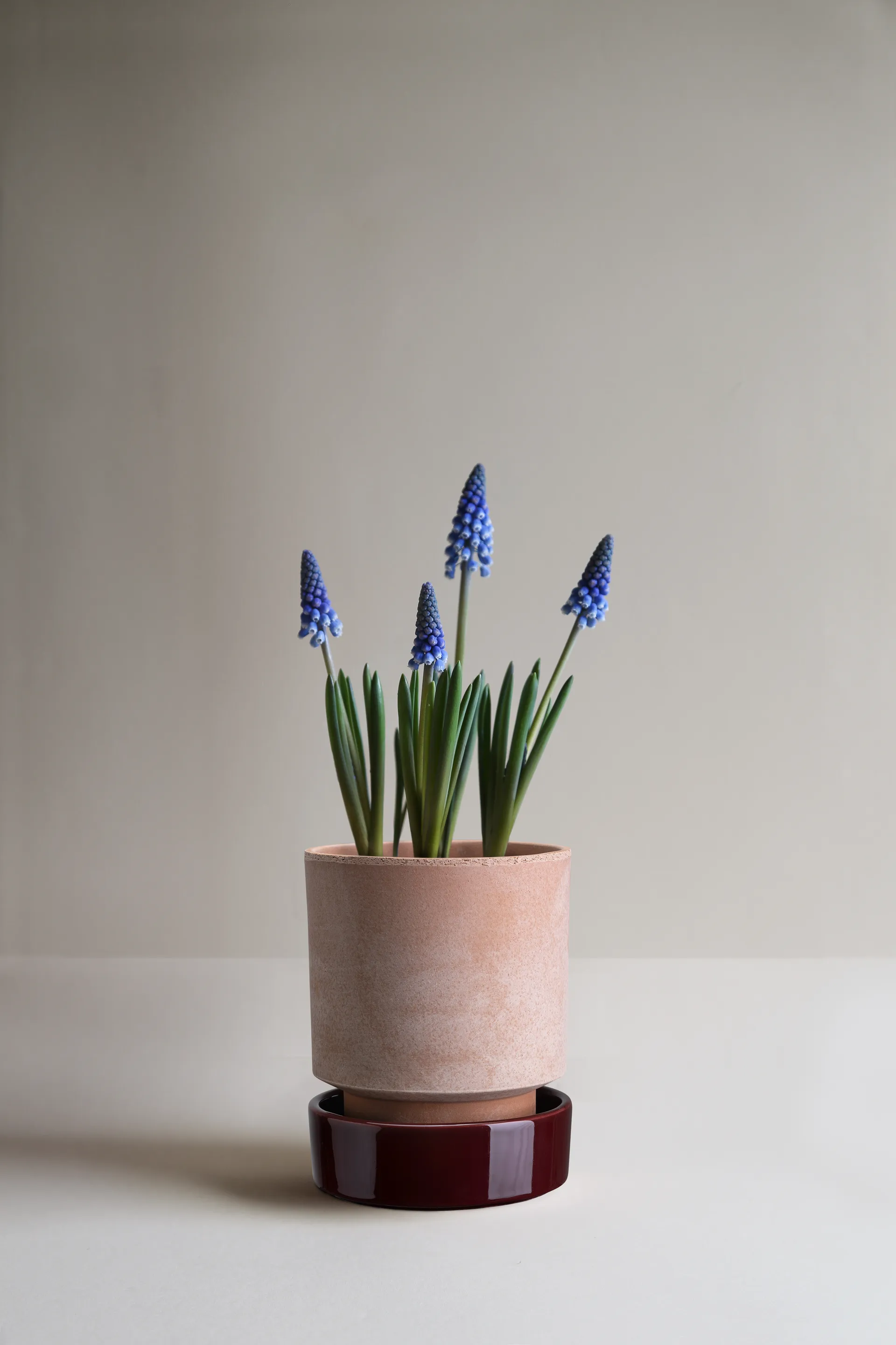 Hoff ruukku, Ø14 cm, Raw Rosa-Deep Burgundy Bergs Potter