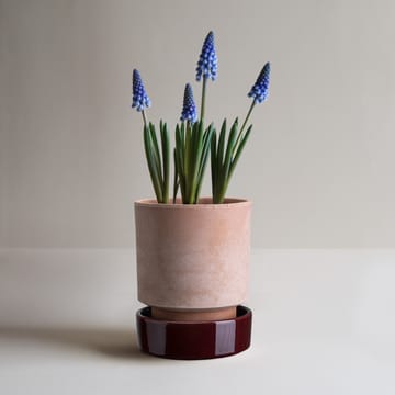 Hoff ruukku - Ø16 cm, Raw Rosa-Deep Burgundy - Bergs Potter