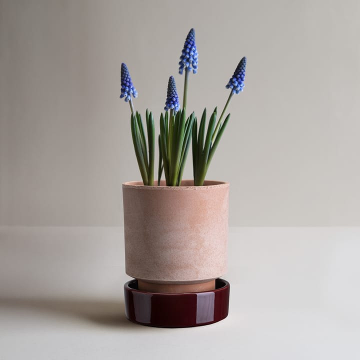 Hoff ruukku, Ø16 cm, Raw Rosa-Deep Burgundy Bergs Potter