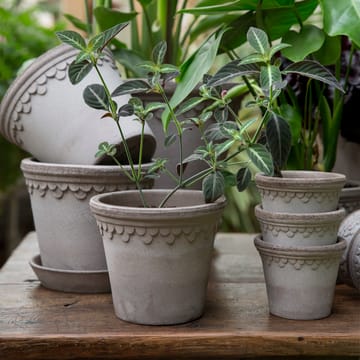 Københavner ruukku Ø14 cm - Harmaa - Bergs Potter