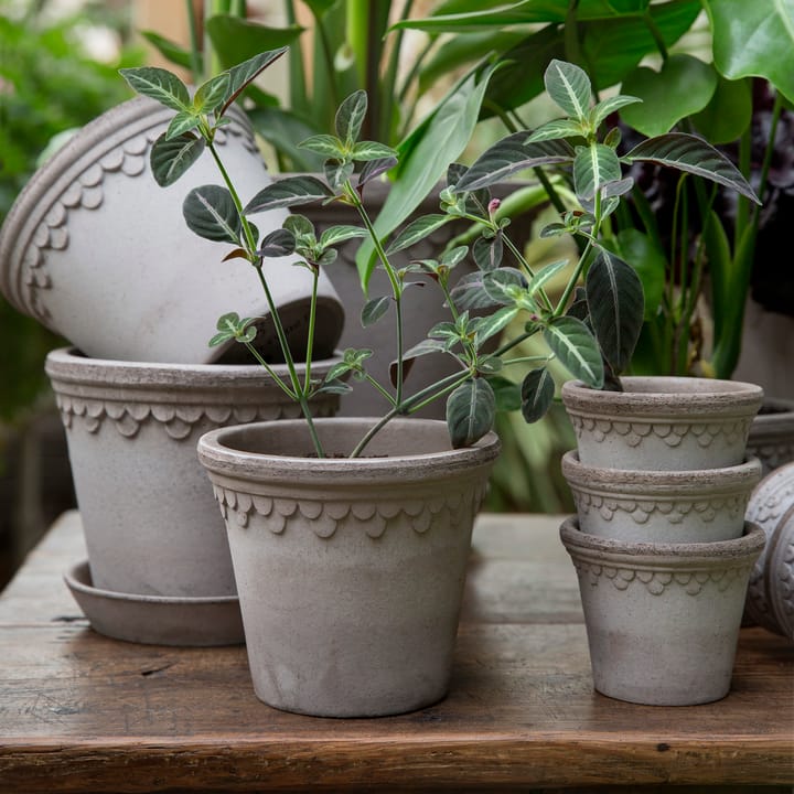 Københavner ruukku Ø14 cm, Harmaa Bergs Potter