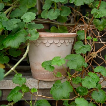 Københavner ruukku Ø16 cm - Vaaleanpunainen - Bergs Potter
