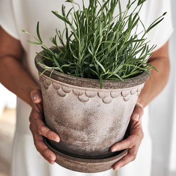 Københavner ruukku 21 cm - Harmaa - Bergs Potter
