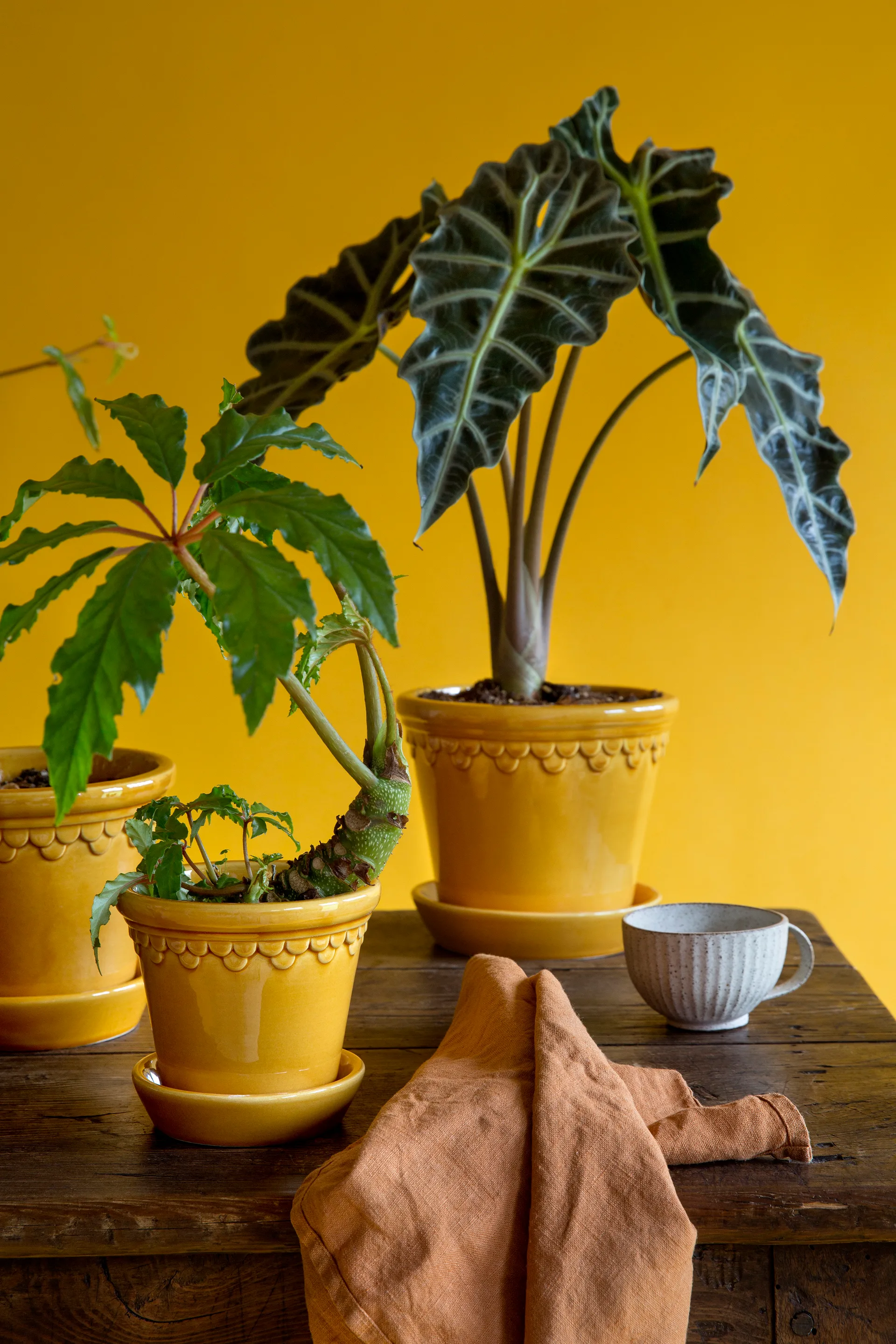 Københavner ruukku lasitettu Ø25 cm, Keltainen Bergs Potter