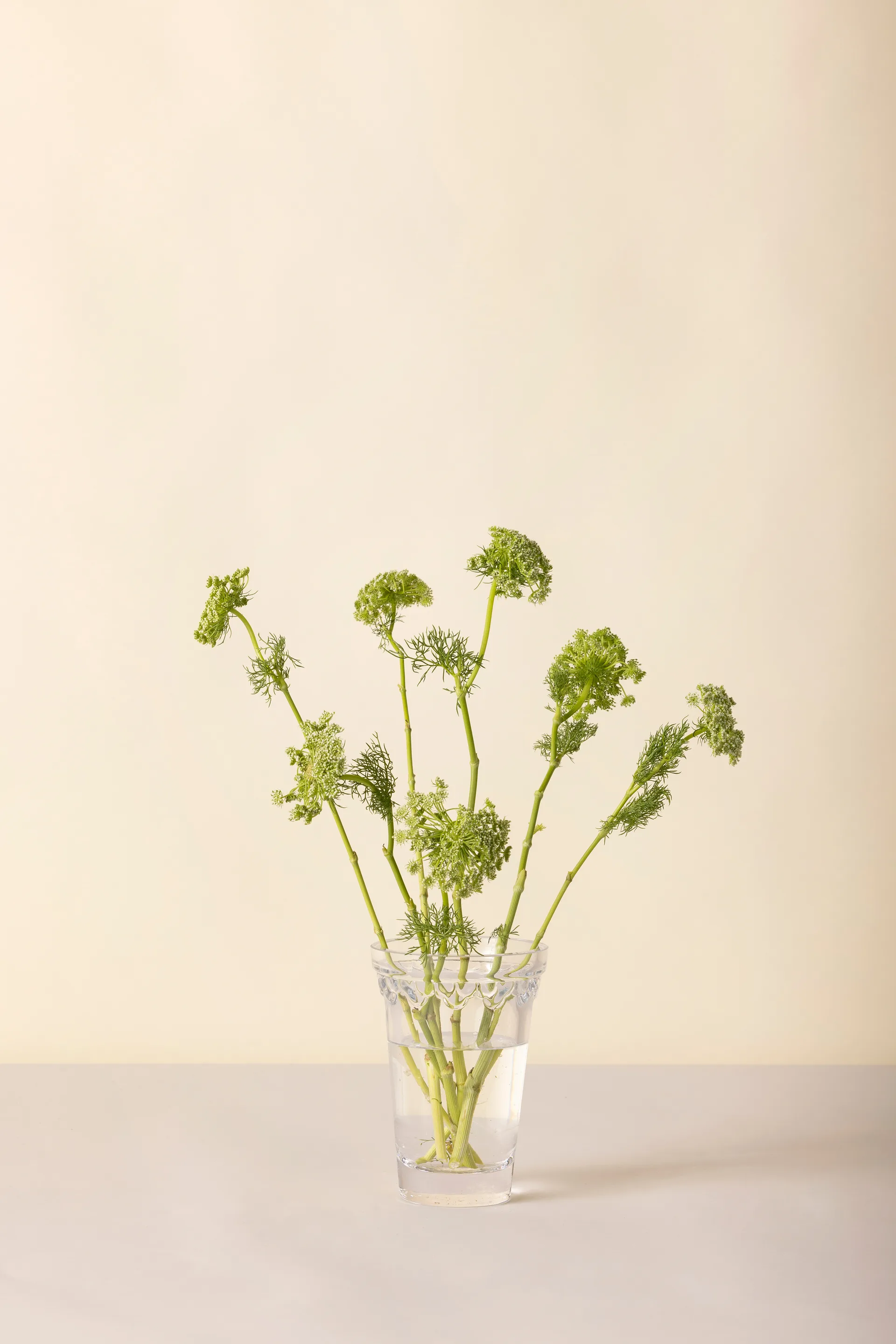 Kööpenhamina maljakko, Kirkas, 18,5 cm Bergs Potter