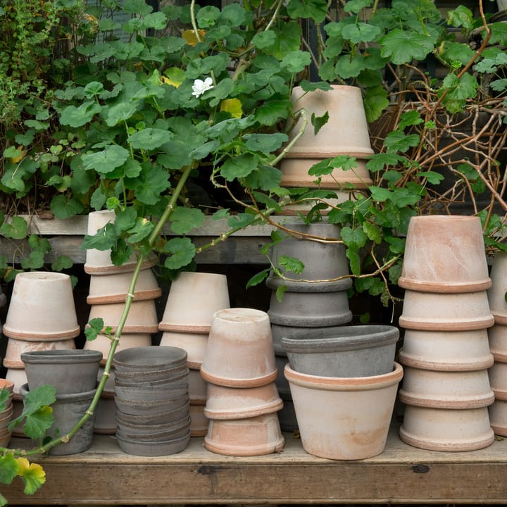 Parade ruukku Ø15 cm, Vaaleanpunainen Bergs Potter