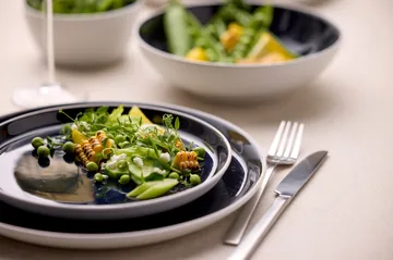 Bitz lautanen gastro Ø27 cm - Valkoinen tummansininen - Bitz