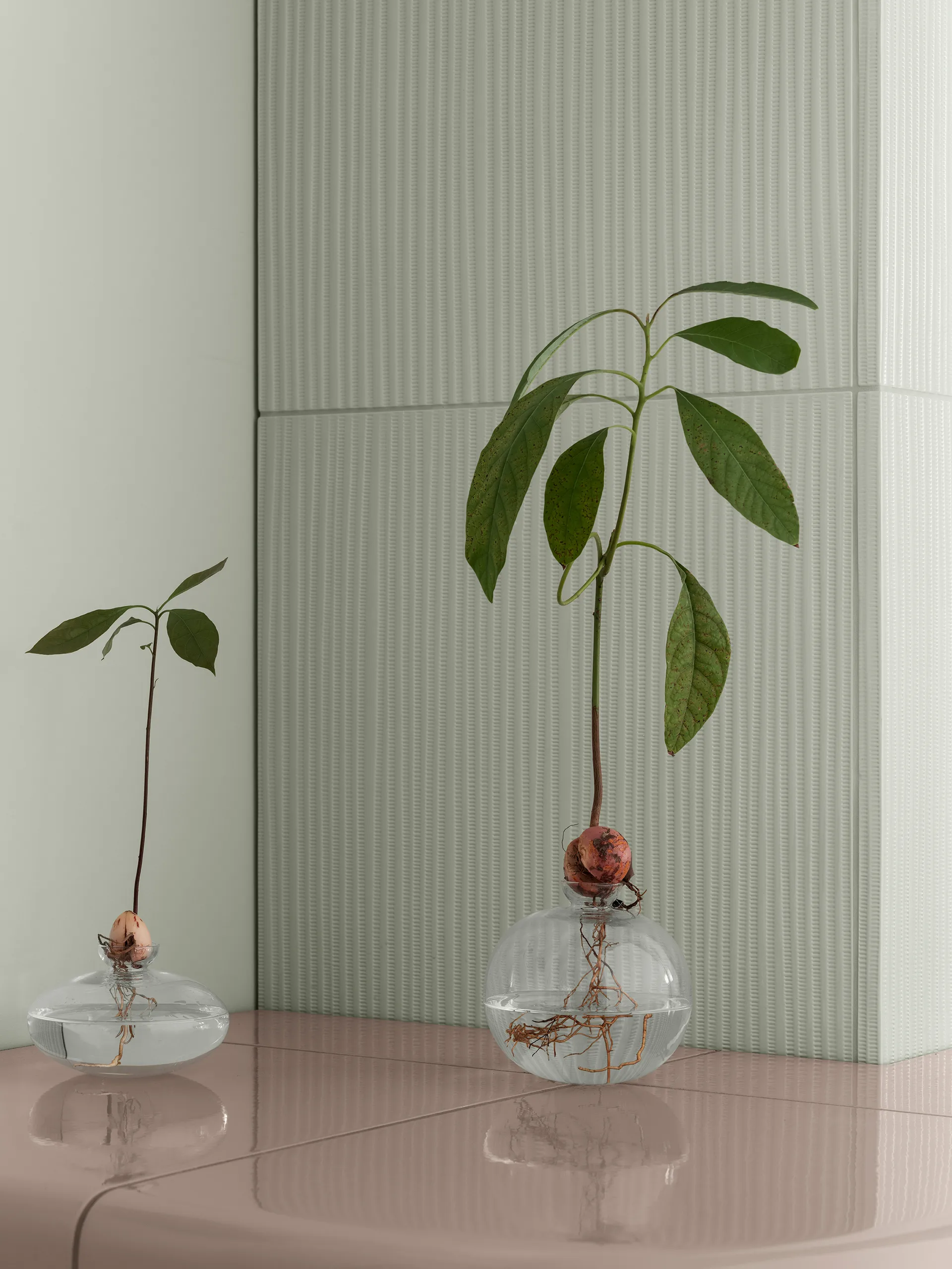 Avo maljakko 14,5 cm, Kirkas blomus