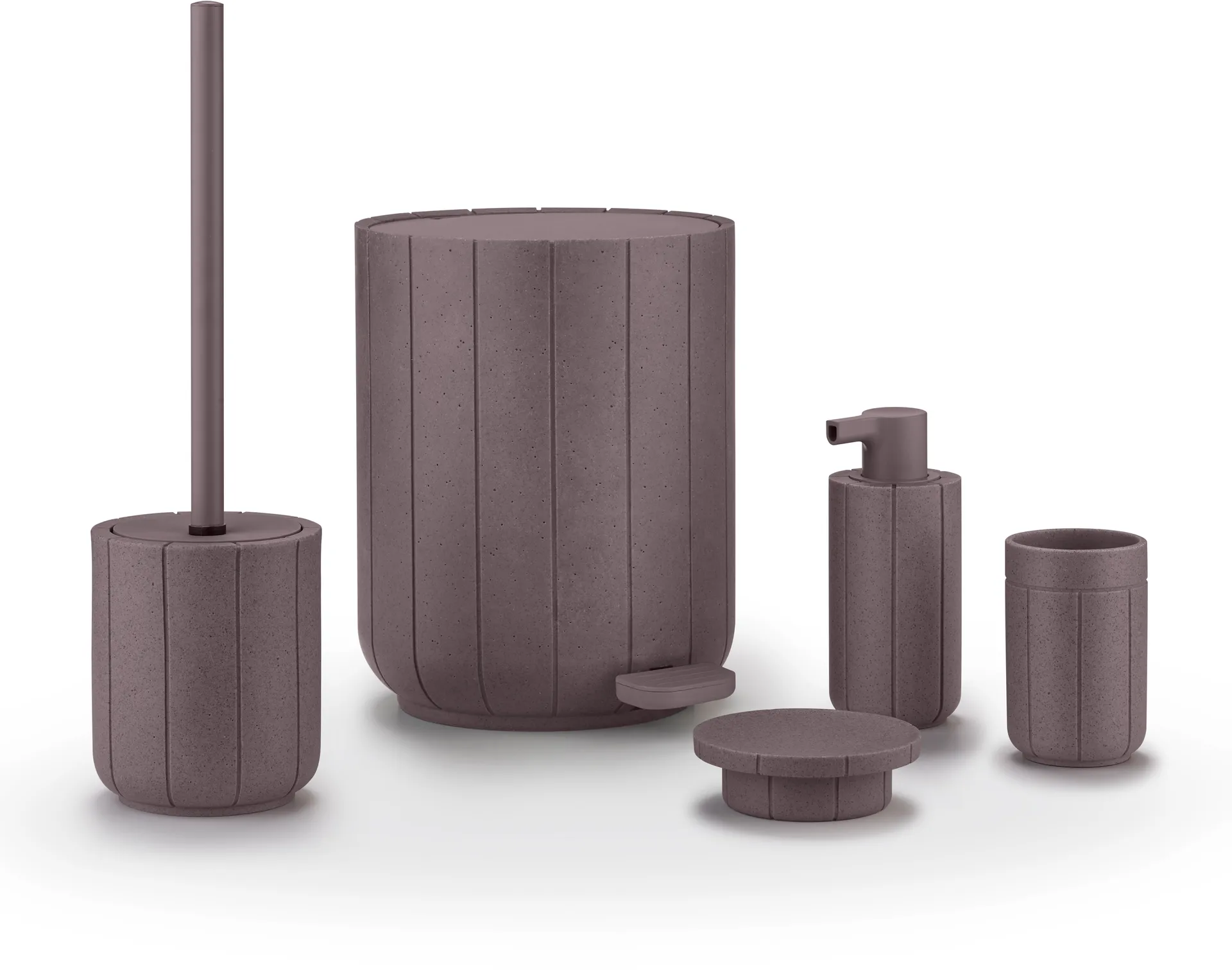 Kua poljinroska-astia, Setripuu, 3 l blomus