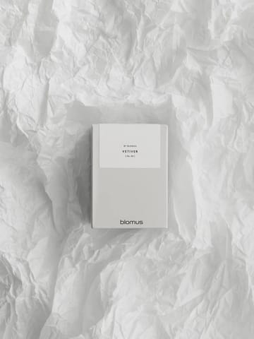 Vaola tuoksukynttilä Vetiver - L, 45 K - Blomus