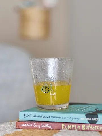 Finney juomalasi 31 cl - Kirkas - Bloomingville