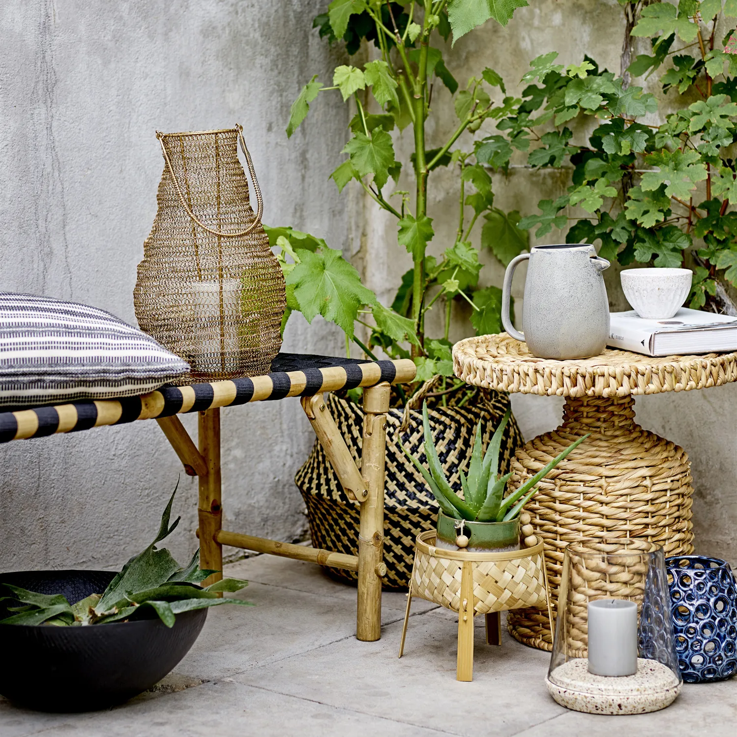 Kendra kannu, Harmaa Bloomingville