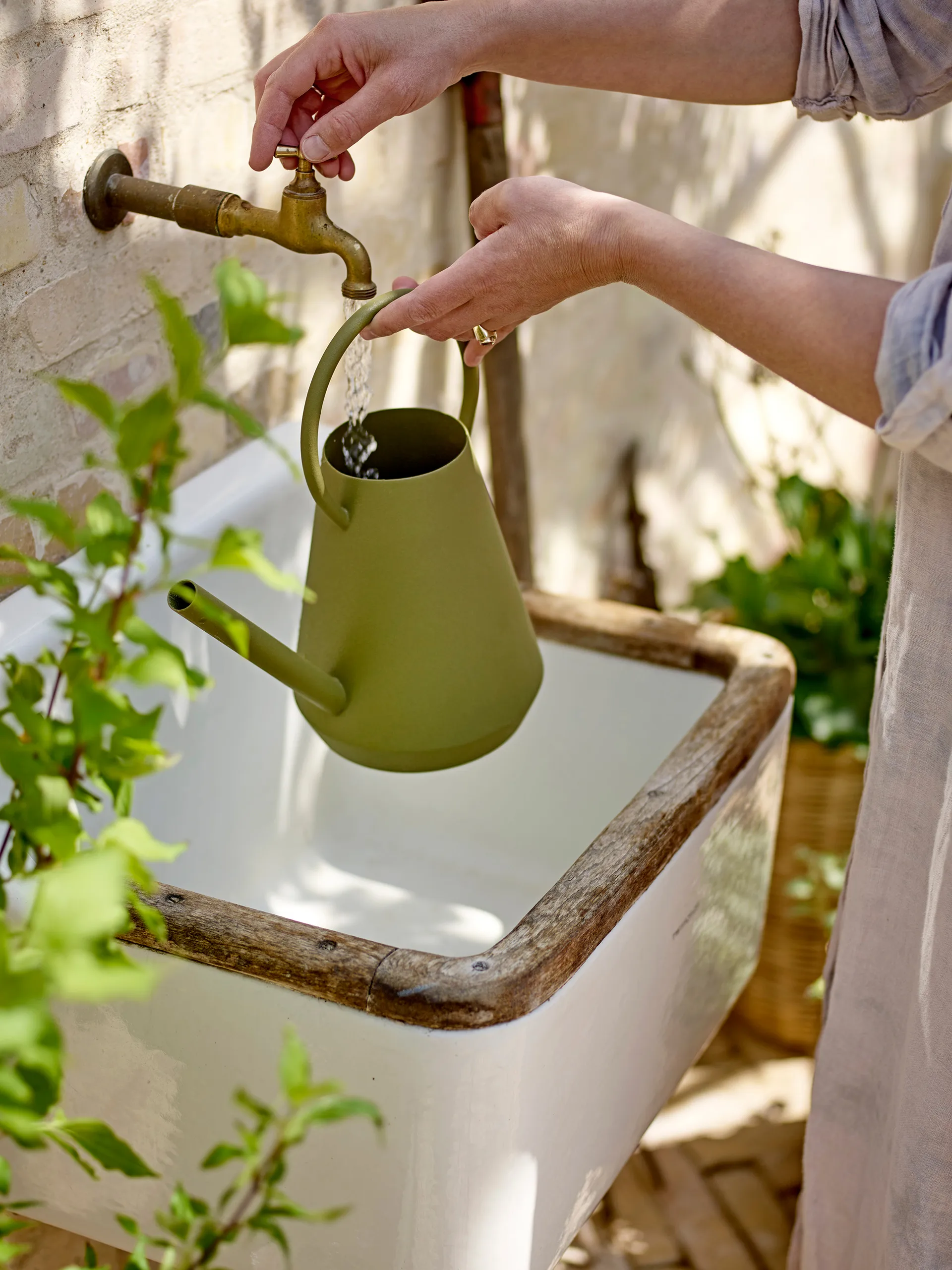 Vallis vesikannu, Vihreä Bloomingville