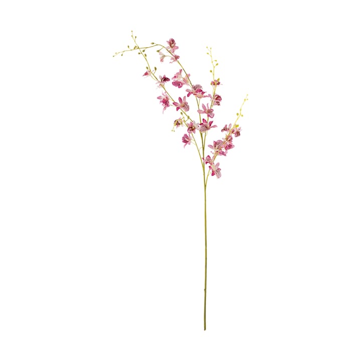 Varresta orkidea ja vaha kukka. - Pinkki - Bloomingville