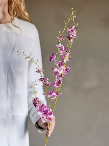 Varresta orkidea ja vaha kukka. - Pinkki - Bloomingville