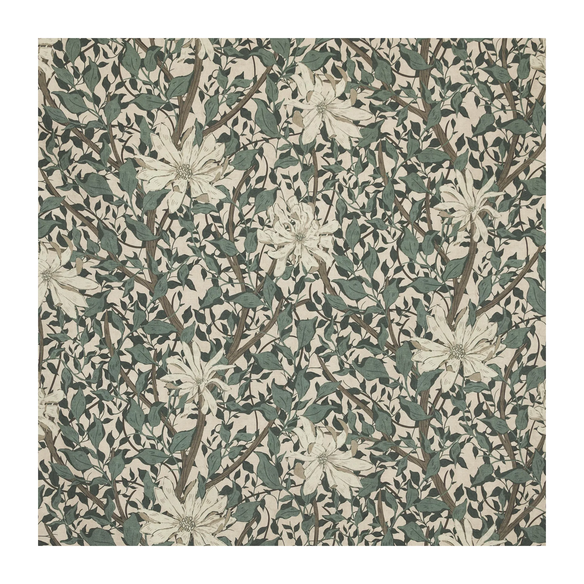 Maja kangas, Vihreä Boel & Jan