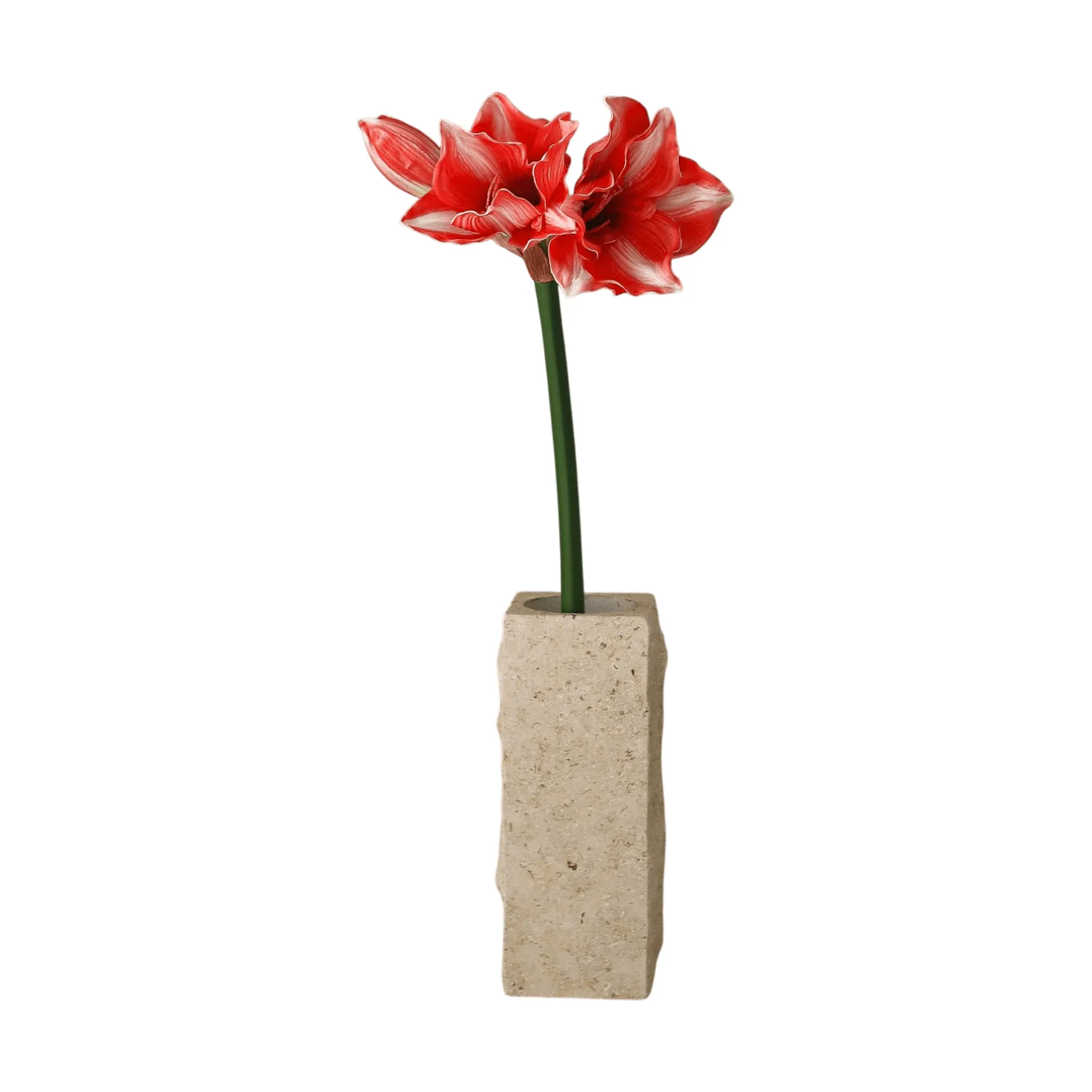 Botané Amaryllis tekokukka Tummanpunainen, 72 cm