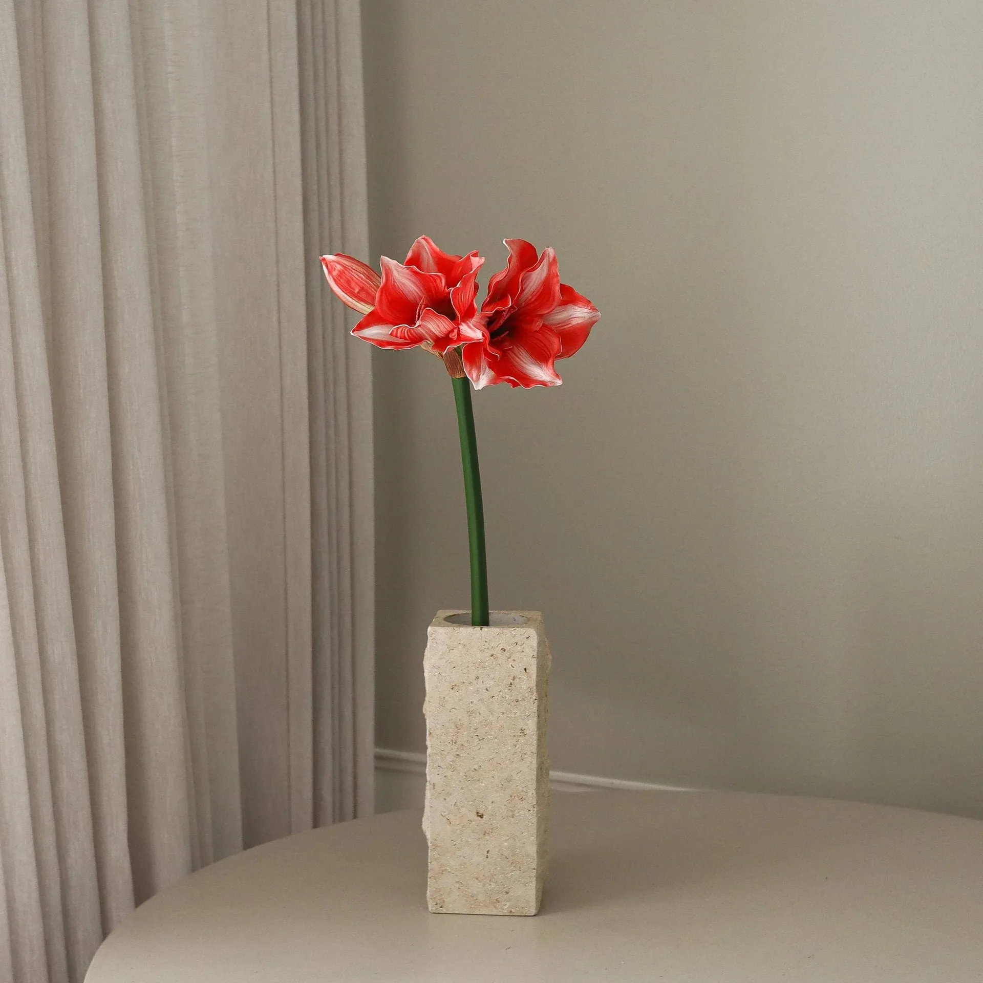 Amaryllis tekokukka, Tummanpunainen, 72 cm Botané